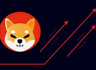 shiba inu etoro