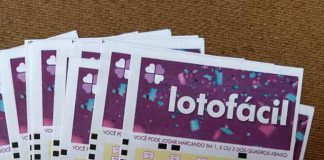 cropped-lotofacil-7.jpg