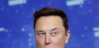 cropped-elon-musk-6-scaled-1.webp