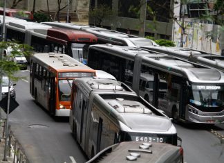 greve 29/06