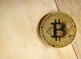 O porquê das organizações sem fins lucrativos adorarem a Bitcoin Bitcoin