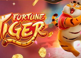 fortune tiger