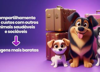 Confira nossas dicas para que seu Pet faça uma viagem econômica sem abrir mão da segurança