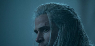 the witcher