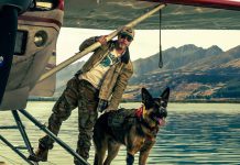 Novo trailer de Coração Selvagem coloca Brad Pitt e seu cão em uma luta brutal pela sobrevivência no Alasca Coração Selvagem