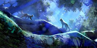Warrior Cats