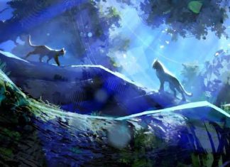 Warrior Cats