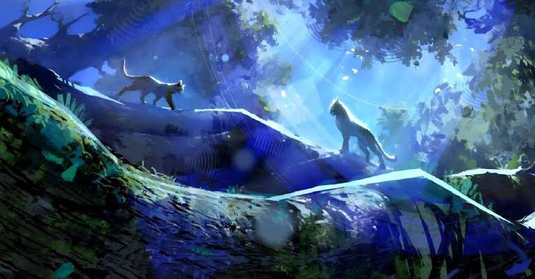 Warrior Cats
