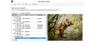 Stellar Repair for Photo