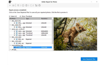 Análise do Stellar Repair for Photo: será que ele realmente consegue salvar uma foto corrompida? Stellar Repair for Photo