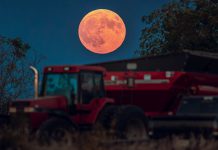 Nasa: International Observe the Moon Night 2026 acontece em 19 de setembro; veja como participar nasa