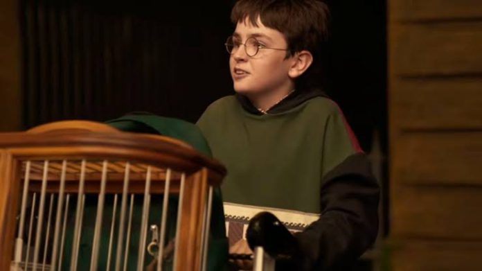 Harry Potter Harry Potter
