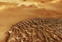 Estranhas formações de “recife de coral” em Marte revelam pistas sobre o clima do planeta marte